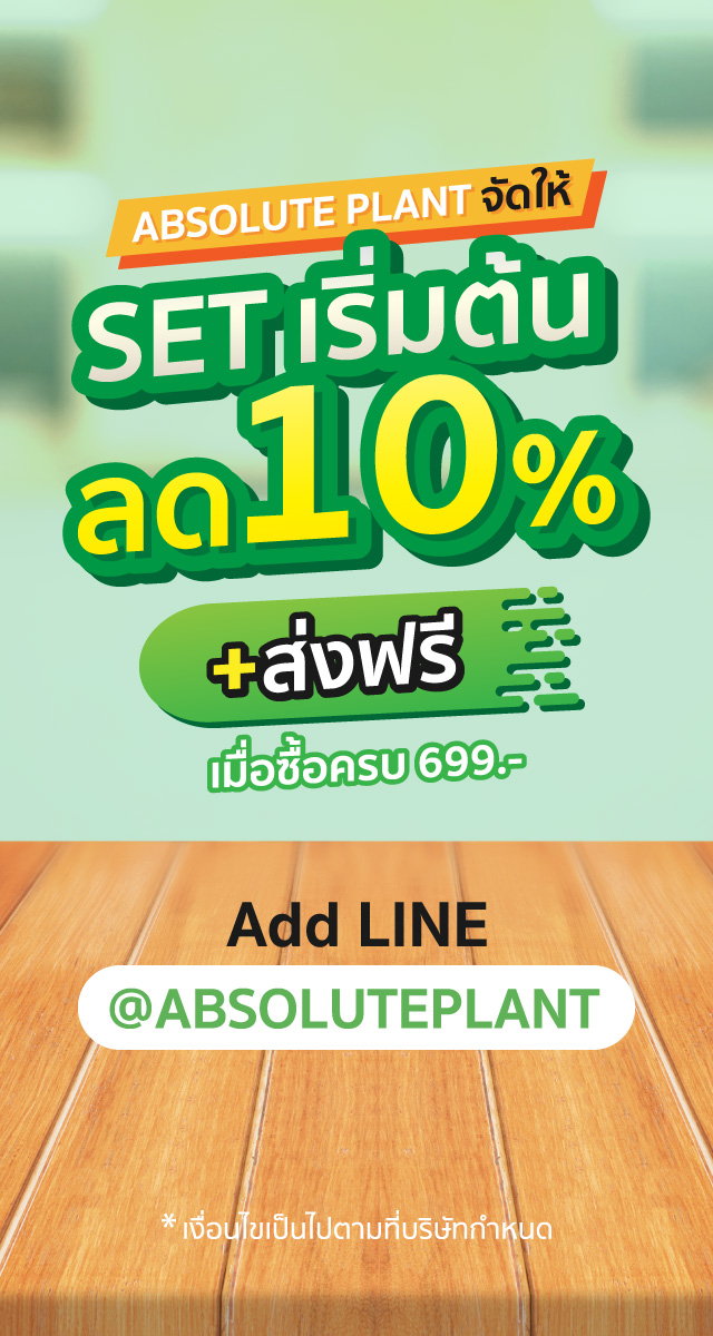 Promotion-Mar